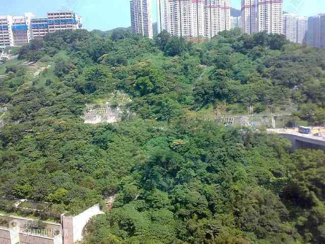 数码港 - 贝沙湾1期8座 05