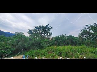 Sha Tin - Fa Sam Hang 12