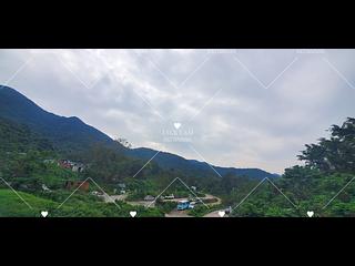 Sha Tin - Fa Sam Hang 14