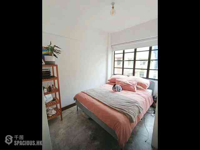 Poho - 20, Square Street 04
