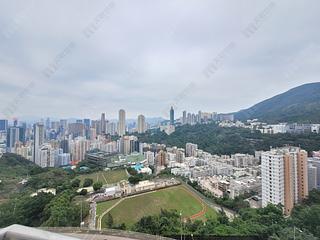 Stubbs Road - Nicholson Tower 04