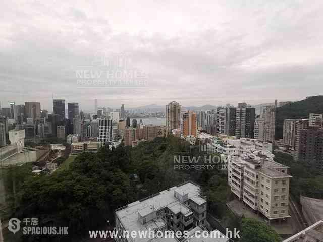 Tai Hang - Swiss Towers 02