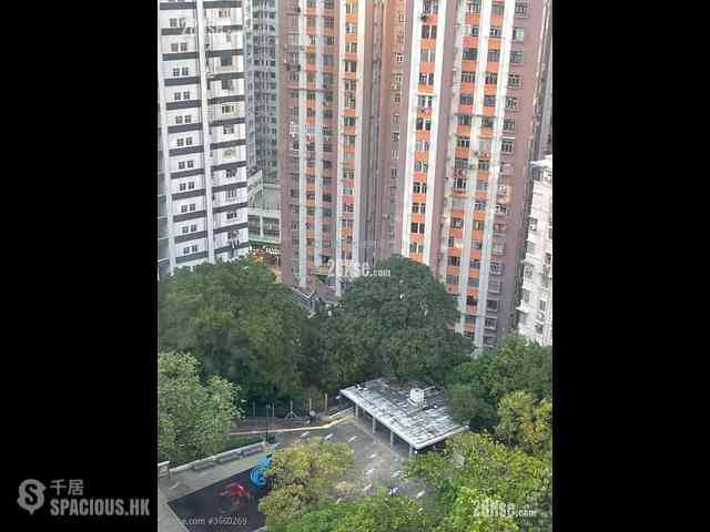 North Point - Kingsway Garden 03