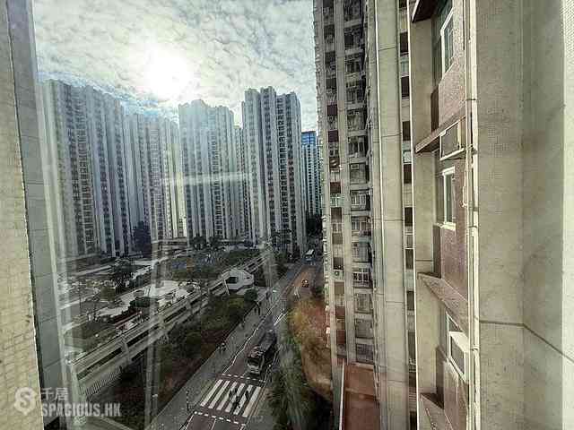 太古城 - 太古城 觀海台 東海閣 (45座) 12
