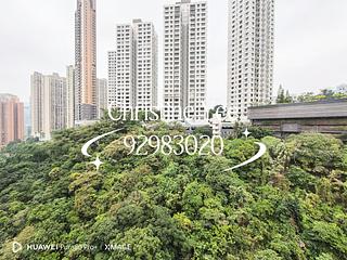 Ting Kok - Richmond Hill Garden 04