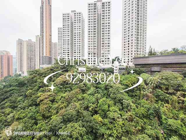 Ting Kok - Richmond Hill Garden 04