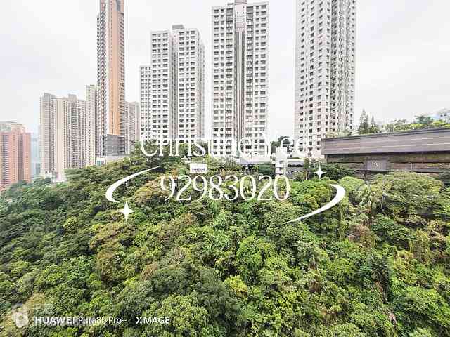 Ting Kok - Richmond Hill Garden 04