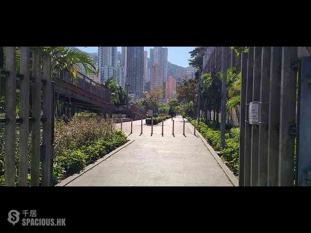 Sai Wan Ho - Les Saisons Le Printemps (Tower 1) 17