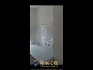 梅窩 - 新龍圍 06