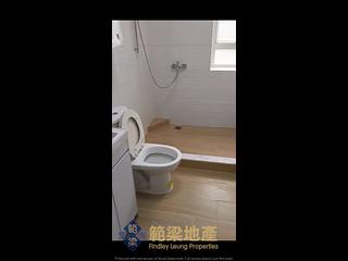 梅窩 - 新龍圍 11