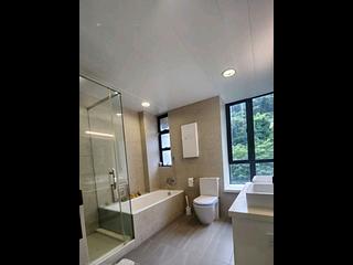 Sha Tin - Forest Hill 12