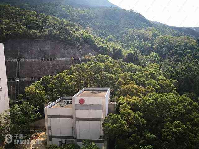 筲箕湾 - 香岛1座 08