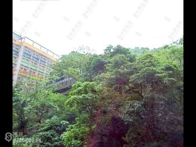筲箕湾 - 香岛2座 24