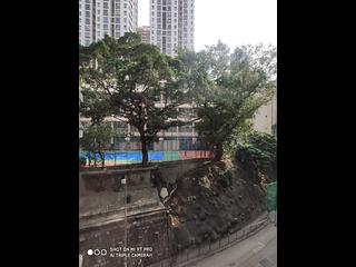 Sai Ying Pun - Tung Wai Garden 08