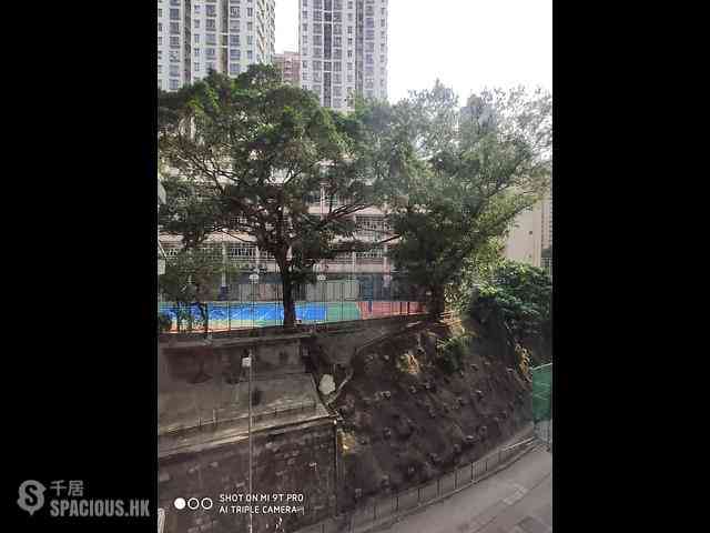 Sai Ying Pun - Tung Wai Garden 08