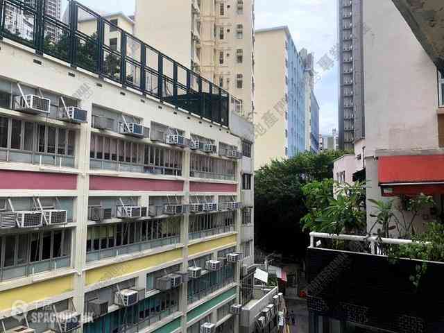 Poho - 13A, New Street 08