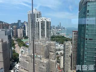 Tin Hau - Dragon Pride 02