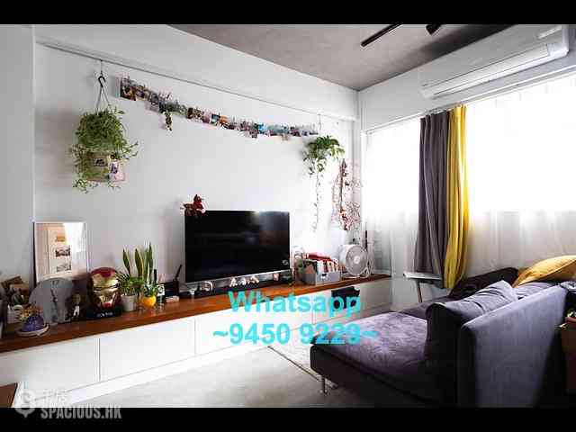 Poho - 36, Sai Street 02