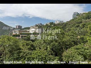 The Peak - Stewart Terrace 02