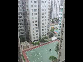 Whampoa Garden - Whampoa Garden Phase 7 Cotton Tree Mansions 04