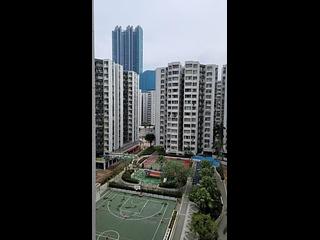 Whampoa Garden - Whampoa Garden Phase 4 Palm Mansions 03