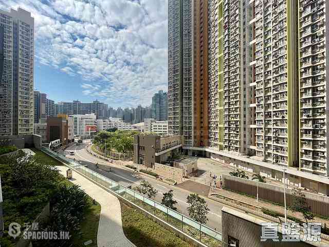 Tseung Kwan O - Savannah Block 2A 01