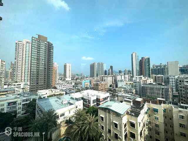 Kowloon City - The Bloomsville 09