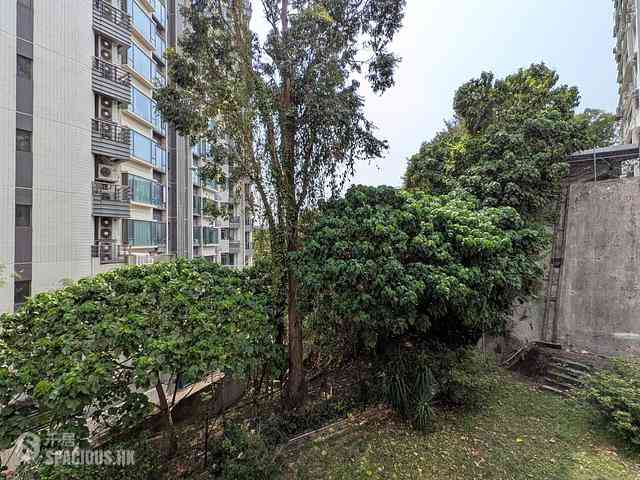 Beacon Hill - Ede Terrace 02