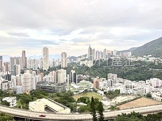 司徒拔道 - 怡园 03