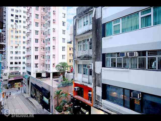 Poho - 7-9, Upper Station Street 24