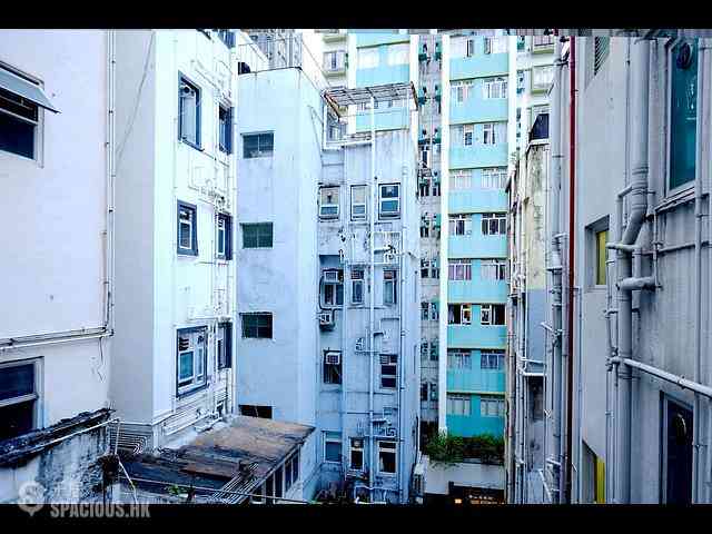 Poho - 7-9, Upper Station Street 27