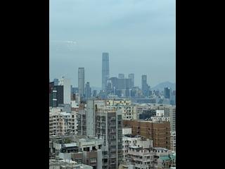 北角 - 柏蔚山1座 06