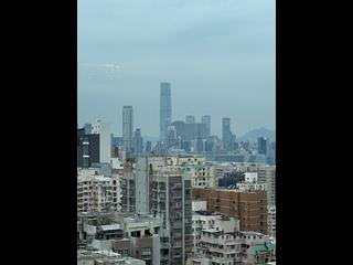 北角 - 柏蔚山1座 09