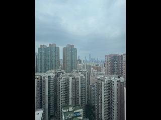 北角 - 柏蔚山1座 15