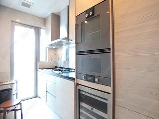 Wan Chai - The Avenue Phase 2 Block 1 14
