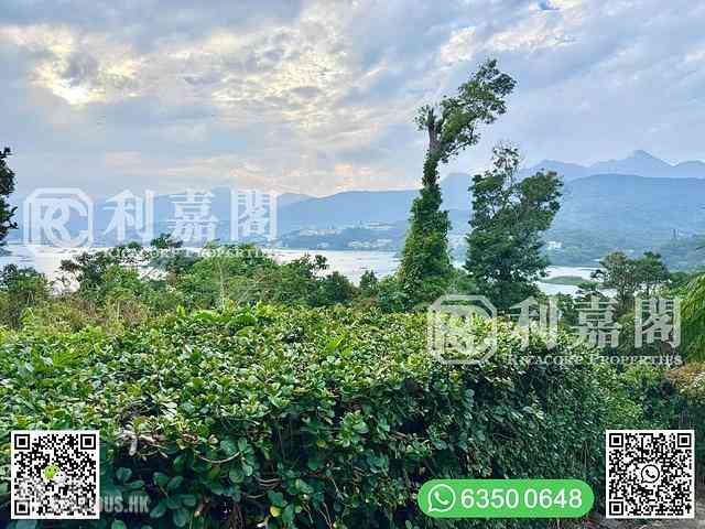 西贡 - 大网仔 09