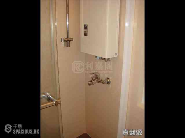 Sha Tin - Lucky Plaza Chung Lam Court (Block B1) 02