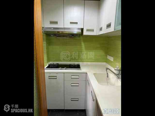 Sha Tin - Lucky Plaza Chung Lam Court (Block B1) 04