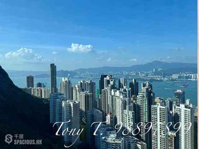 中半山 - 晓峰阁4座 01