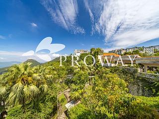 The Peak - Strawberry Hill 02