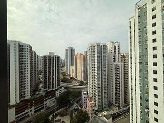Shau Kei Wan - Oria 08
