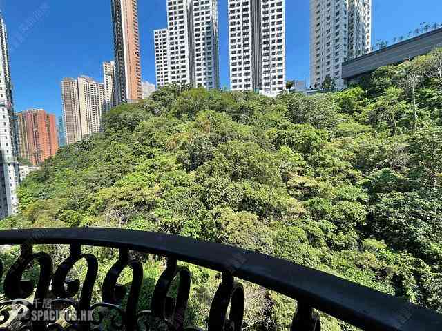 跑马地 - 金山花园B座 01