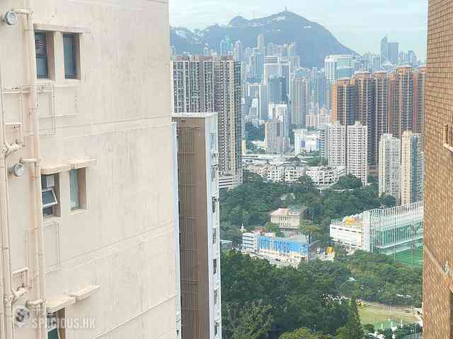 大坑 - 大坑台A座 11