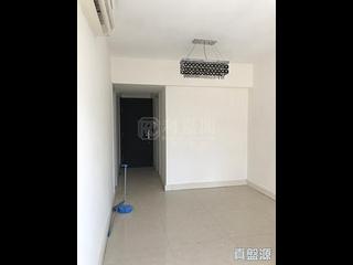 大圍 - 名城3期 盛世3座 03
