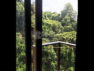 天后 - 柏傲山3座 11