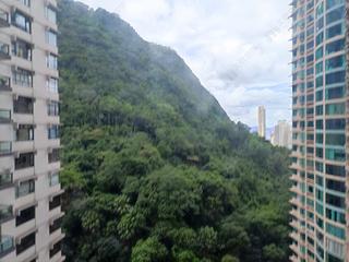 Mid Levels Central - Tregunter Tower 3 13