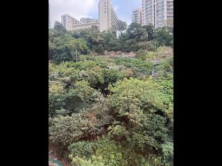 北角 - 百福花园 康福阁 02