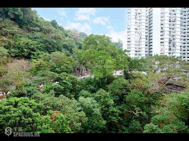 Shau Kei Wan - Le Riviera 29