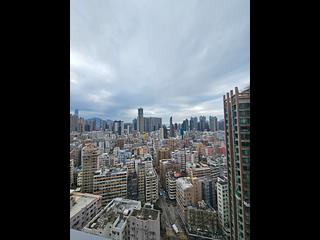 Cheung Sha Wan - The Paddington 03