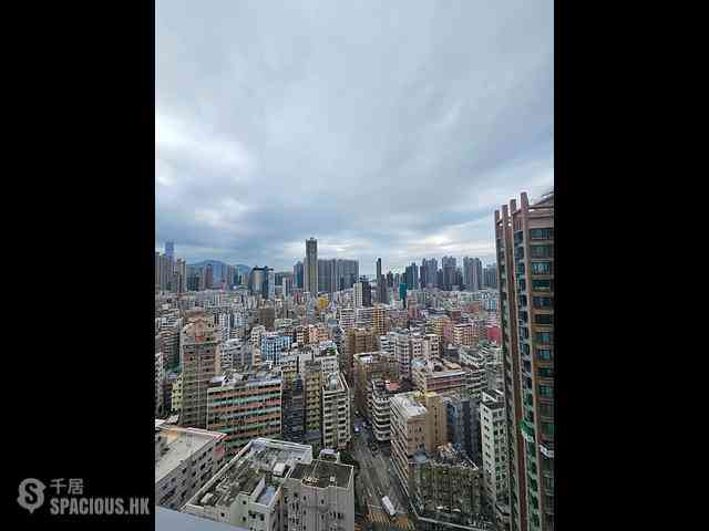 Cheung Sha Wan - The Paddington 03